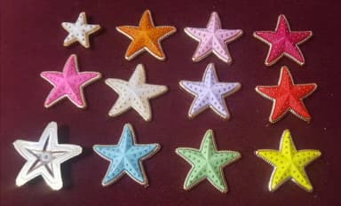 Aplique Estrela do Mar Colorida de 3,5cm 10 Unidade