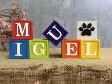 Cubos Toy Story 6x6cm Patrulha Canina