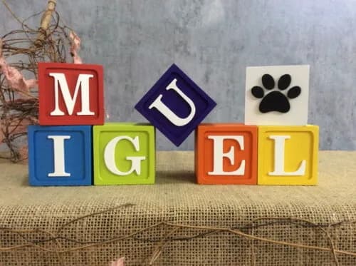 Cubos Toy Story 6x6cm Patrulha Canina