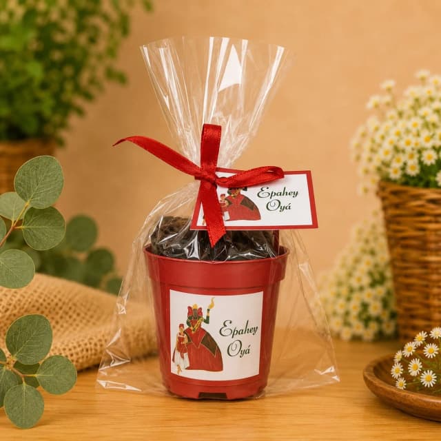 20 UNIDADES Kit Jardinagem Lembrancinhas Iansã - Oyá  - Trabalhamos com qualquer tema - Informar tema no chat