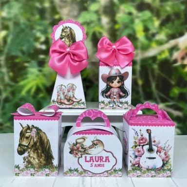 Kit 15 Caixas Boiadeira Rosa / 3 de Cada Modelo