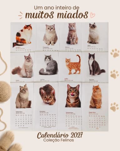 Coleção Felinos - Calendários magnéticos 2027