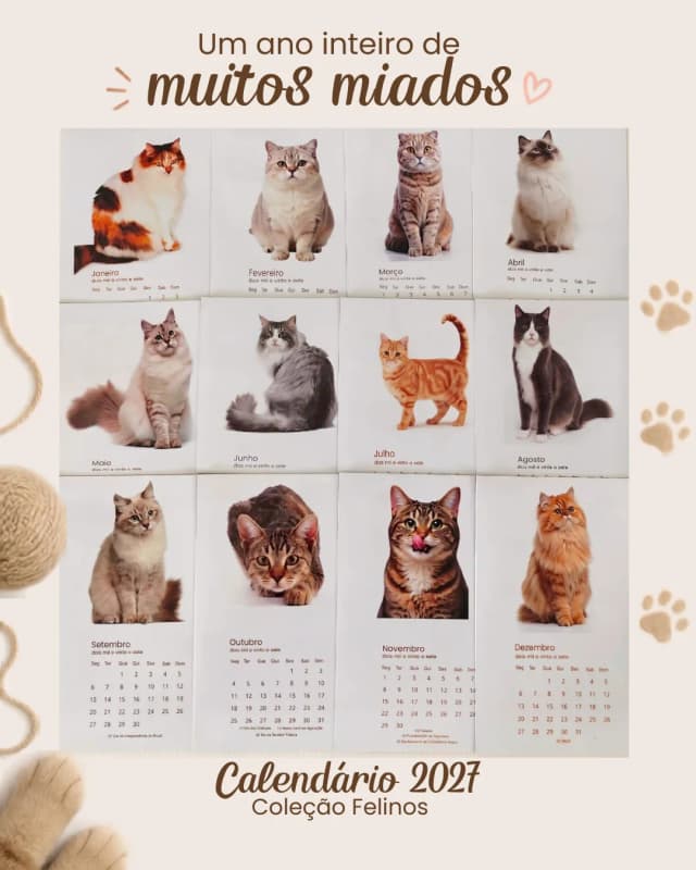 Coleção Felinos - Calendários magnéticos 2027