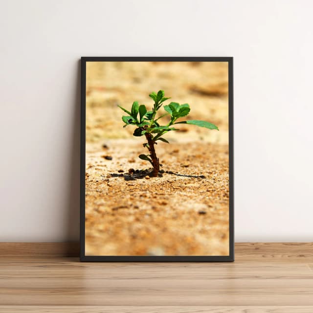 Quadro Pequena Planta Verde 106