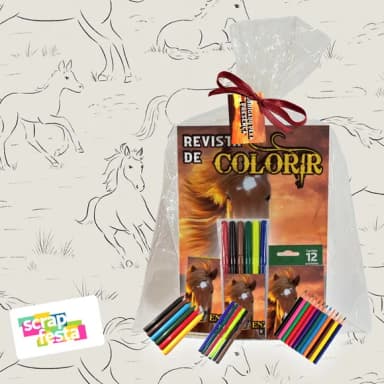 Revista Colorir+embalagem+giz+canetinha+lápis Cavalos