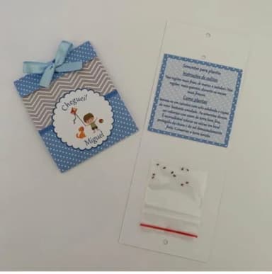 Lembrança Maternidade Sementinha Amor perfeito Pipa e bola