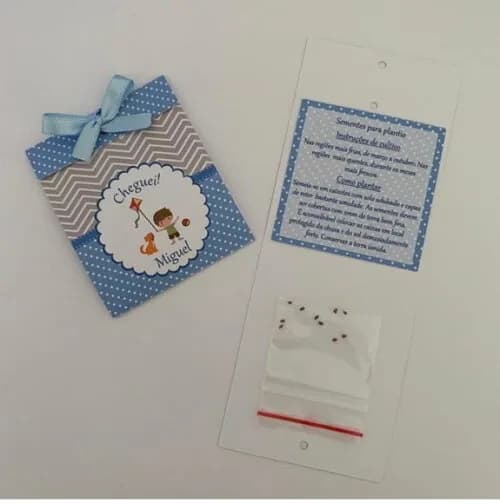 Lembrança Maternidade Sementinha Amor perfeito Pipa e bola