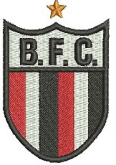 Matriz de Bordado Botafogo F.c. Ribeirão Preto