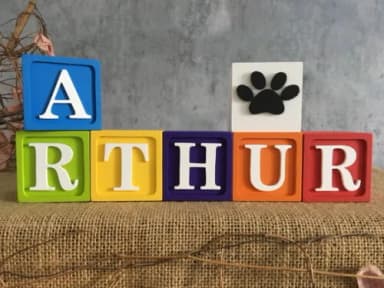 Cubos Decorativos 6x6cm Patrulha Canina