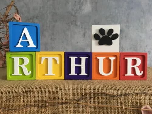 Cubos Decorativos 6x6cm Patrulha Canina