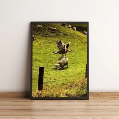 Quadro Lobo Pulando Sobre Ovelhas 179